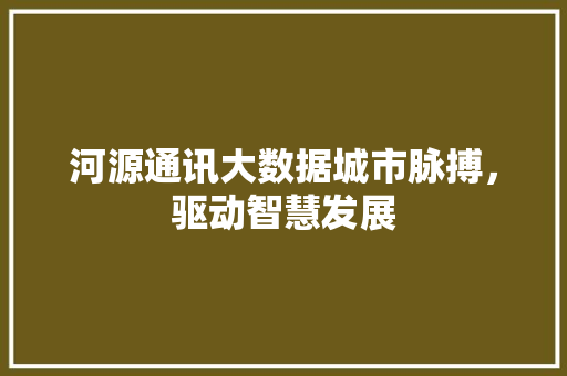河源通讯大数据城市脉搏，驱动智慧发展  第1张