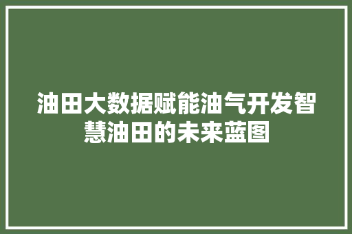 油田大数据赋能油气开发智慧油田的未来蓝图  第1张