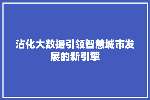 沾化大数据引领智慧城市发展的新引擎  第1张