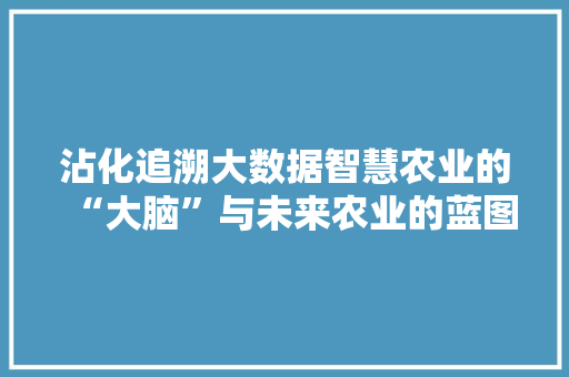 沾化追溯大数据智慧农业的“大脑”与未来农业的蓝图  第1张