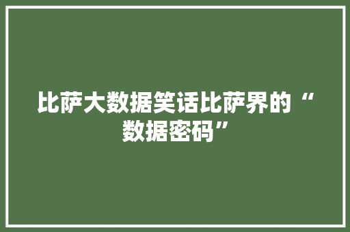 比萨大数据笑话比萨界的“数据密码”  第1张