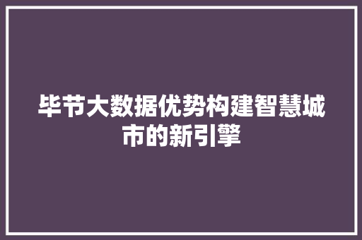 毕节大数据优势构建智慧城市的新引擎