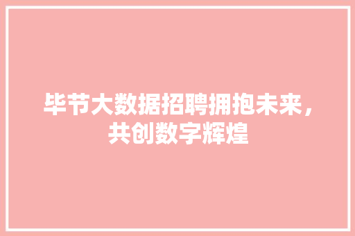 毕节大数据招聘拥抱未来，共创数字辉煌