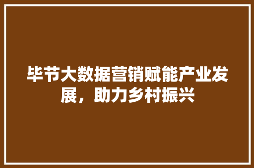 毕节大数据营销赋能产业发展，助力乡村振兴