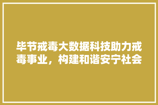毕节戒毒大数据科技助力戒毒事业，构建和谐安宁社会  第1张