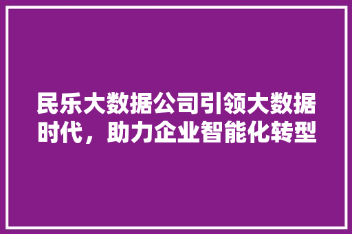 民乐大数据公司引领大数据时代，助力企业智能化转型  第1张