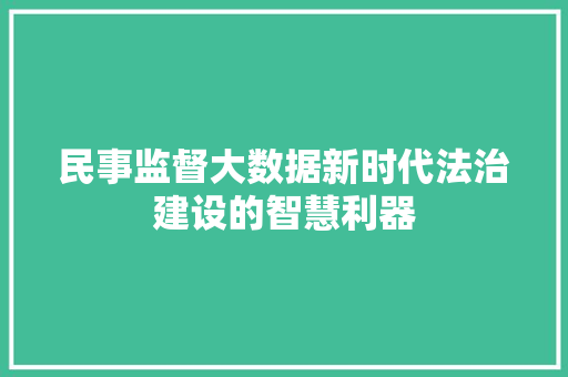 民事监督大数据新时代法治建设的智慧利器  第1张