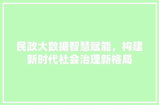 民政大数据智慧赋能，构建新时代社会治理新格局  第1张