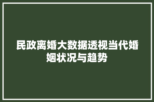 民政离婚大数据透视当代婚姻状况与趋势  第1张