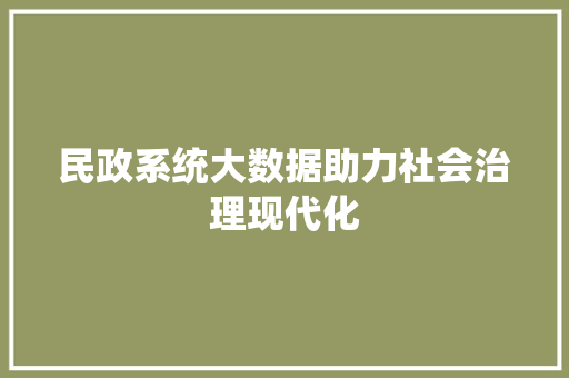 民政系统大数据助力社会治理现代化