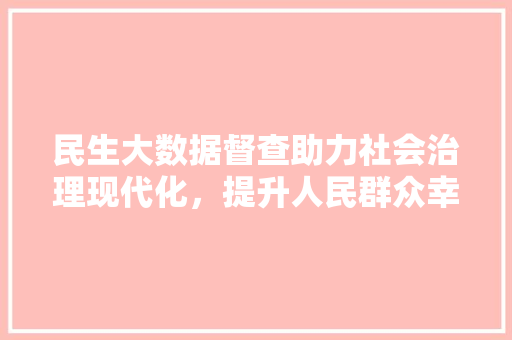 民生大数据督查助力社会治理现代化，提升人民群众幸福感