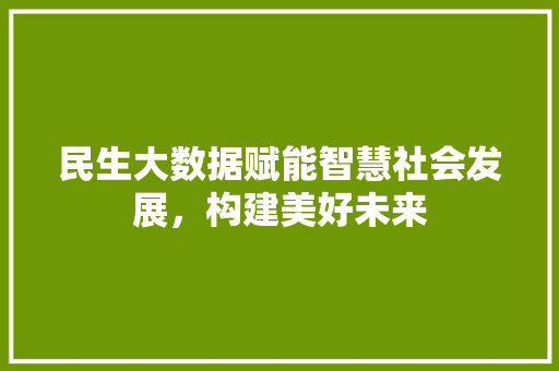 民生大数据赋能智慧社会发展，构建美好未来