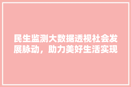 民生监测大数据透视社会发展脉动，助力美好生活实现
