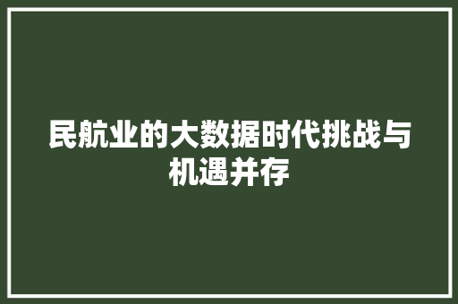 民航业的大数据时代挑战与机遇并存
