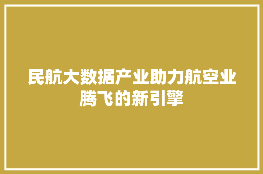 民航大数据产业助力航空业腾飞的新引擎