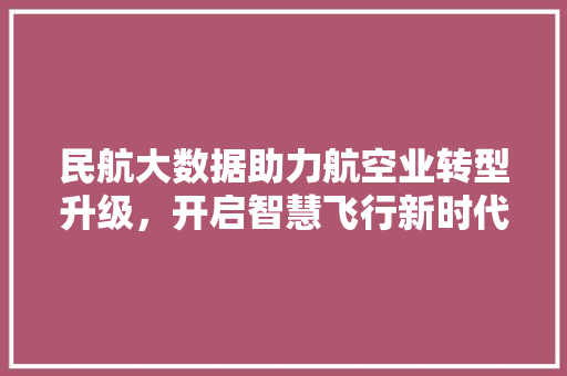 民航大数据助力航空业转型升级，开启智慧飞行新时代