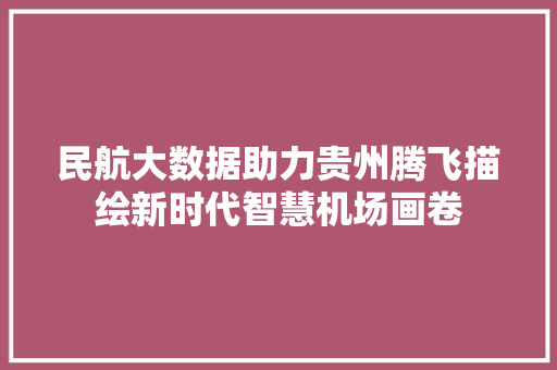 民航大数据助力贵州腾飞描绘新时代智慧机场画卷