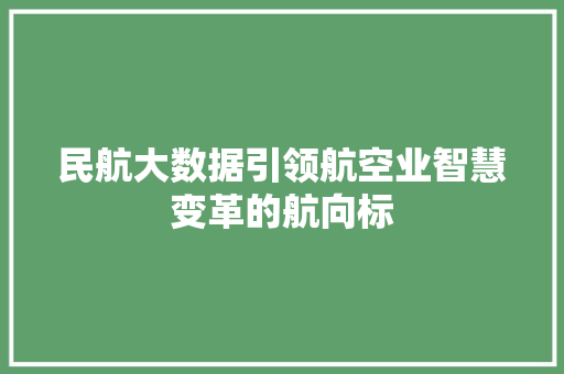 民航大数据引领航空业智慧变革的航向标
