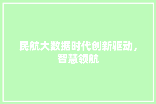 民航大数据时代创新驱动，智慧领航