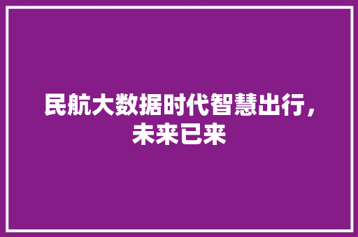民航大数据时代智慧出行，未来已来