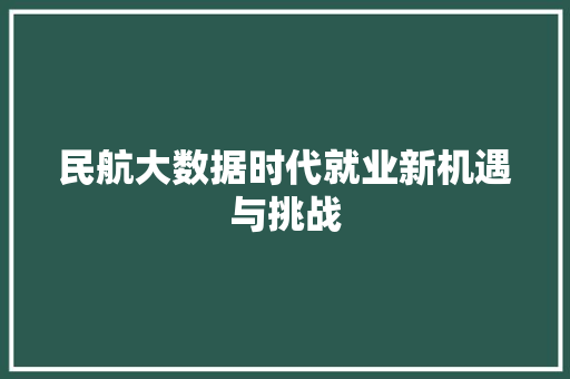 民航大数据时代就业新机遇与挑战