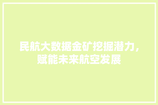 民航大数据金矿挖掘潜力，赋能未来航空发展