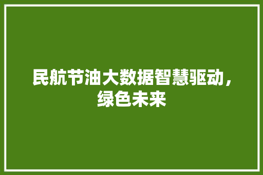 民航节油大数据智慧驱动，绿色未来