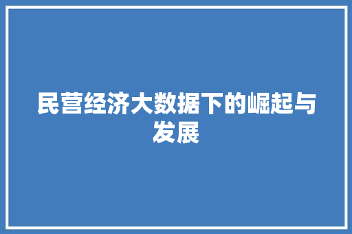 民营经济大数据下的崛起与发展  第1张