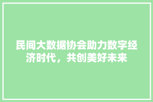 民间大数据协会助力数字经济时代，共创美好未来  第1张