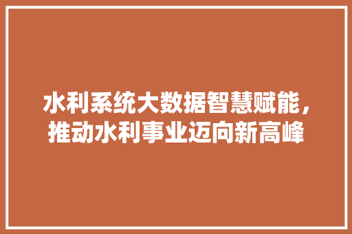 水利系统大数据智慧赋能，推动水利事业迈向新高峰