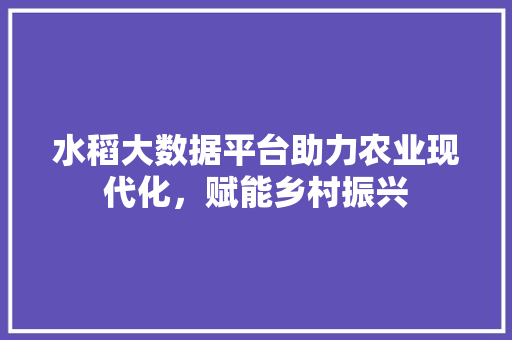 水稻大数据平台助力农业现代化，赋能乡村振兴