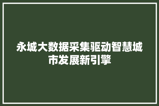 永城大数据采集驱动智慧城市发展新引擎