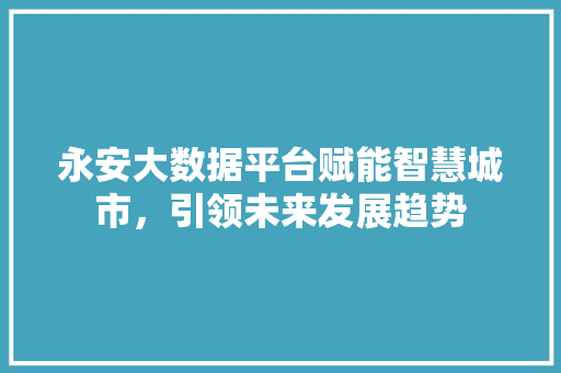 永安大数据平台赋能智慧城市，引领未来发展趋势