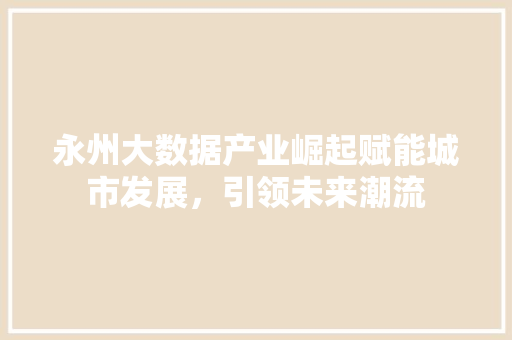 永州大数据产业崛起赋能城市发展，引领未来潮流