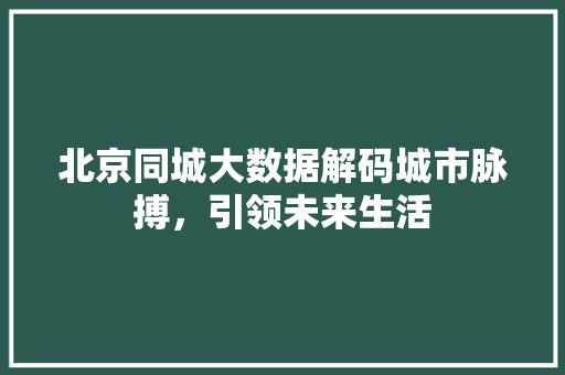 北京同城大数据解码城市脉搏，引领未来生活  第1张