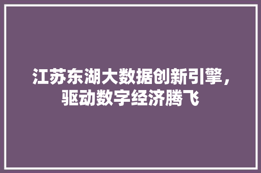 江苏东湖大数据创新引擎，驱动数字经济腾飞