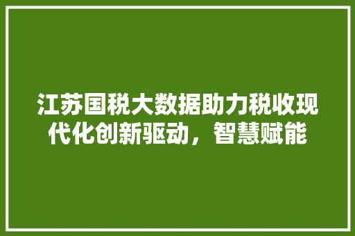 江苏国税大数据助力税收现代化创新驱动，智慧赋能  第1张