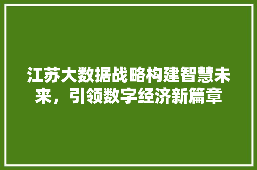 江苏大数据战略构建智慧未来，引领数字经济新篇章  第1张
