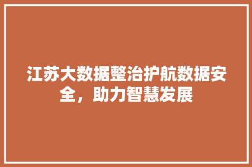 江苏大数据整治护航数据安全，助力智慧发展  第1张