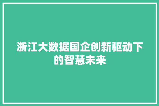浙江大数据国企创新驱动下的智慧未来  第1张
