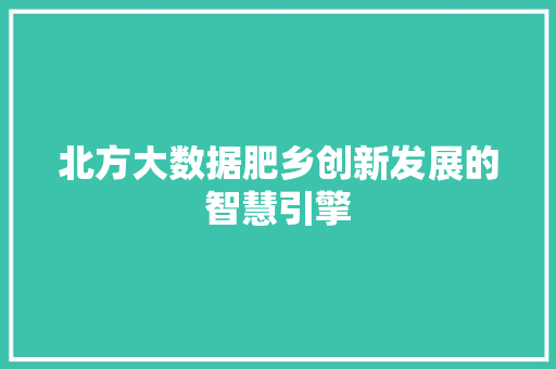 北方大数据肥乡创新发展的智慧引擎