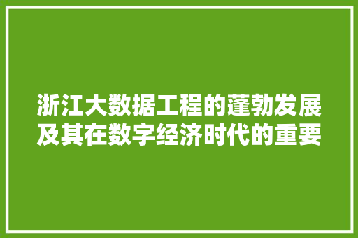 浙江大数据工程的蓬勃发展及其在数字经济时代的重要地位  第1张