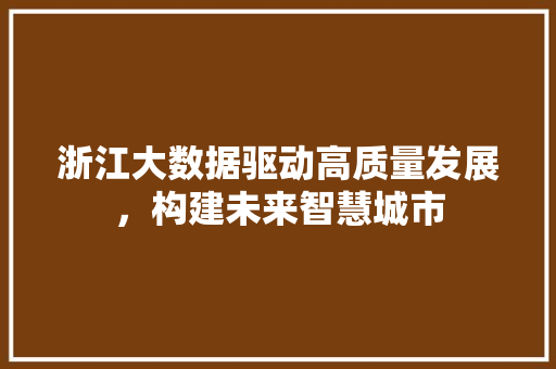 浙江大数据驱动高质量发展，构建未来智慧城市  第1张