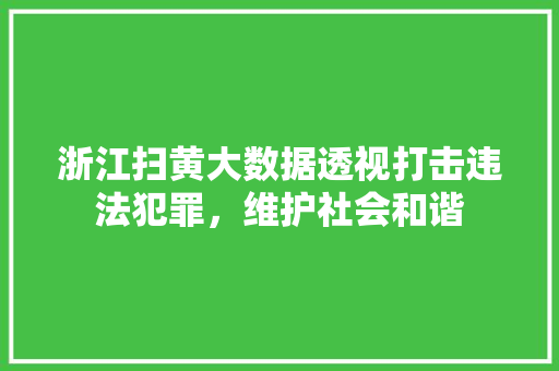 浙江扫黄大数据透视打击违法犯罪，维护社会和谐
