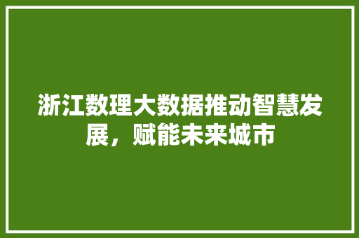 浙江数理大数据推动智慧发展，赋能未来城市  第1张