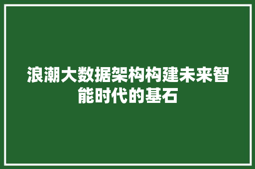 浪潮大数据架构构建未来智能时代的基石