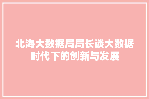 北海大数据局局长谈大数据时代下的创新与发展  第1张