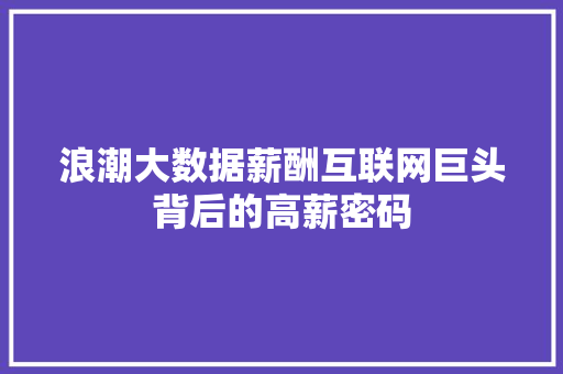 浪潮大数据薪酬互联网巨头背后的高薪密码