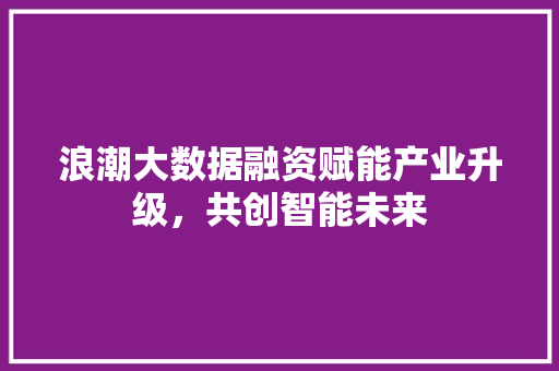 浪潮大数据融资赋能产业升级，共创智能未来  第1张