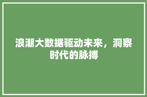 浪潮大数据驱动未来，洞察时代的脉搏